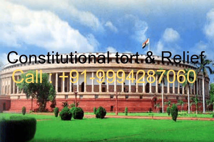 Top Advocates for Constitutional Torts in Chennai
